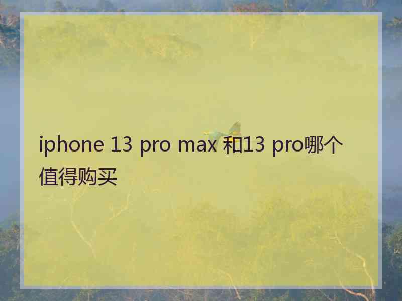 iphone 13 pro max 和13 pro哪个值得购买