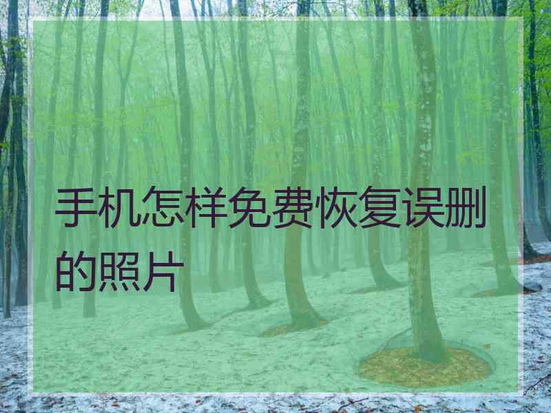 手机怎样免费恢复误删的照片