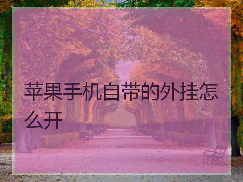 苹果手机自带的外挂怎么开