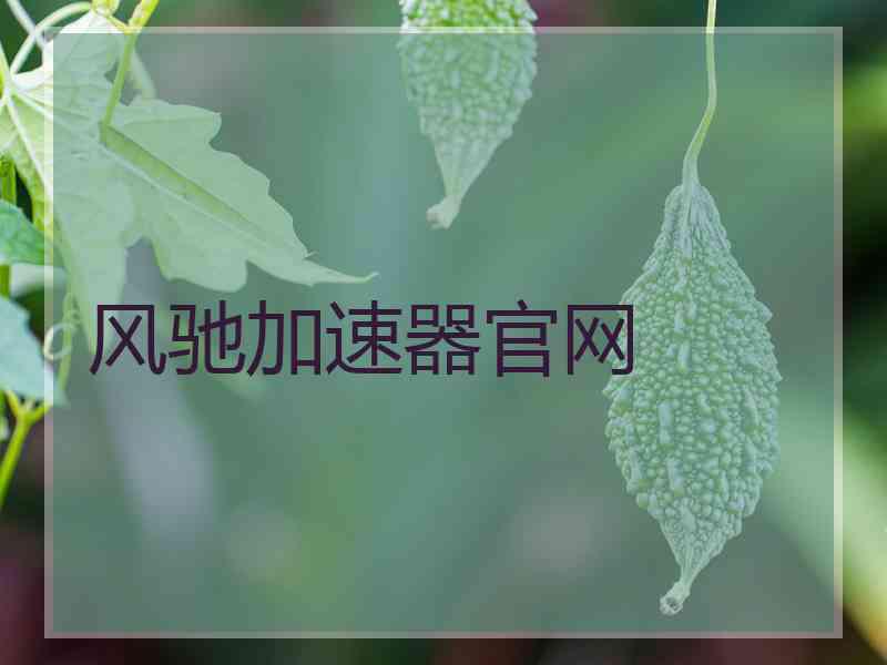 风驰加速器官网