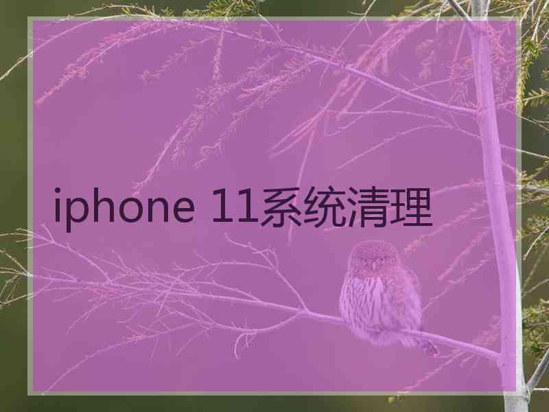 iphone 11系统清理