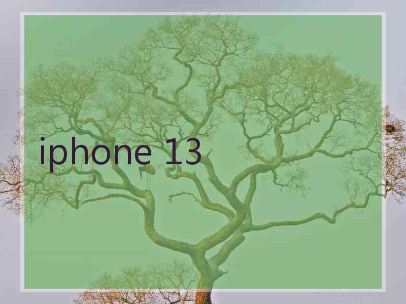 iphone 13