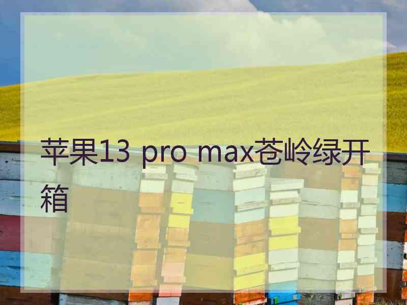 苹果13 pro max苍岭绿开箱