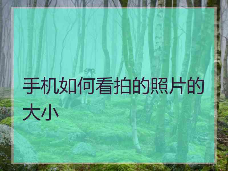 手机如何看拍的照片的大小