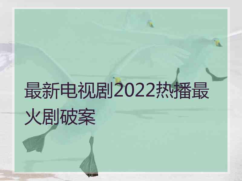 最新电视剧2022热播最火剧破案