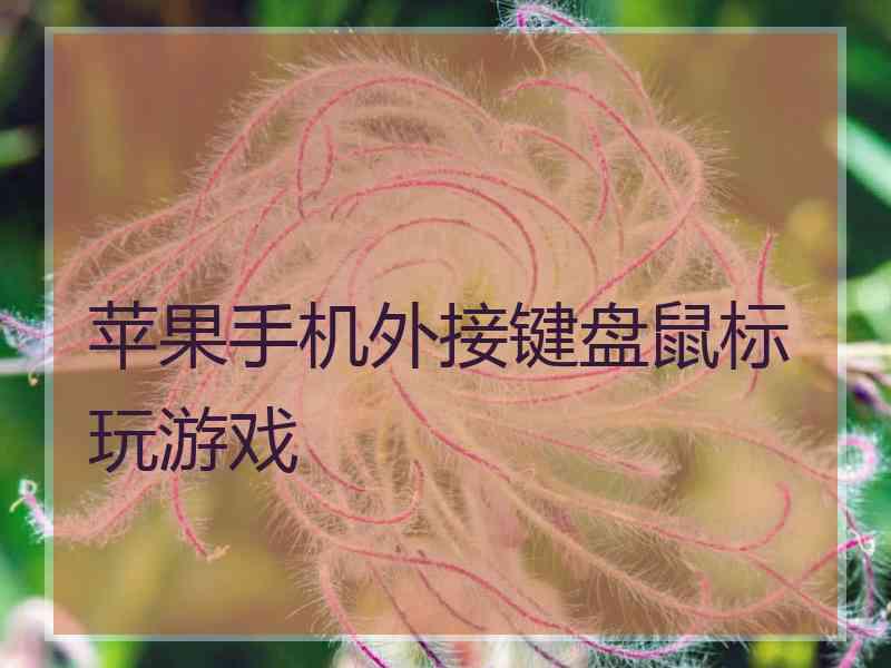 苹果手机外接键盘鼠标玩游戏