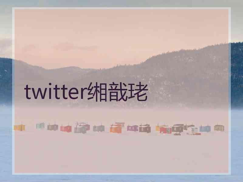 twitter缃戠珯