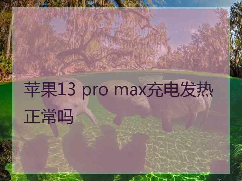 苹果13 pro max充电发热正常吗