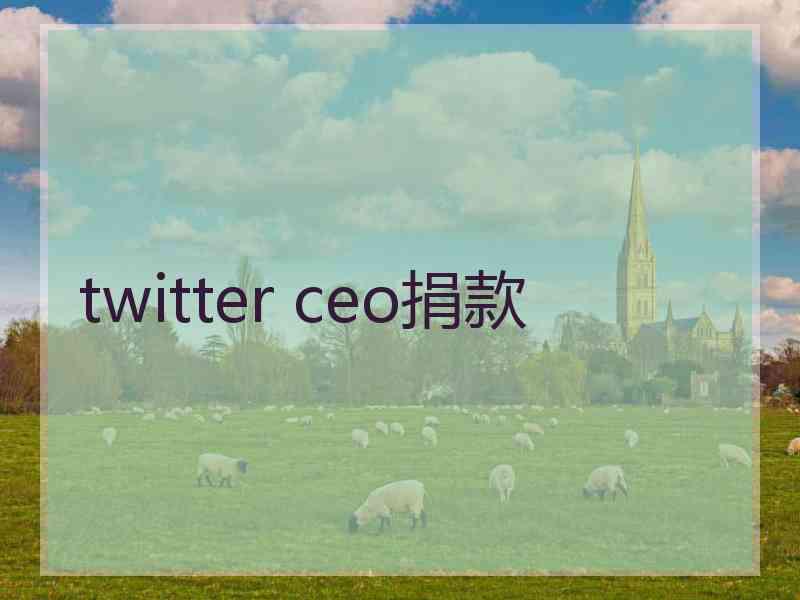 twitter ceo捐款