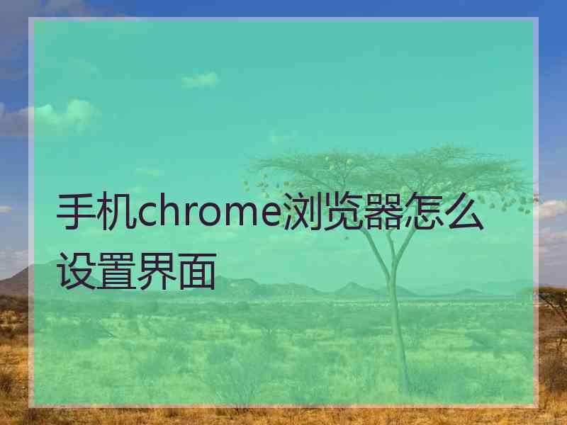 手机chrome浏览器怎么设置界面