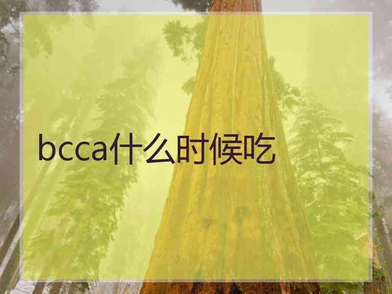 bcca什么时候吃