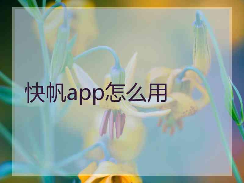 快帆app怎么用