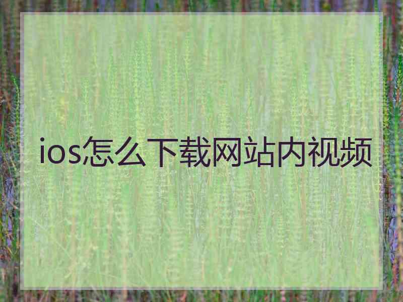 ios怎么下载网站内视频