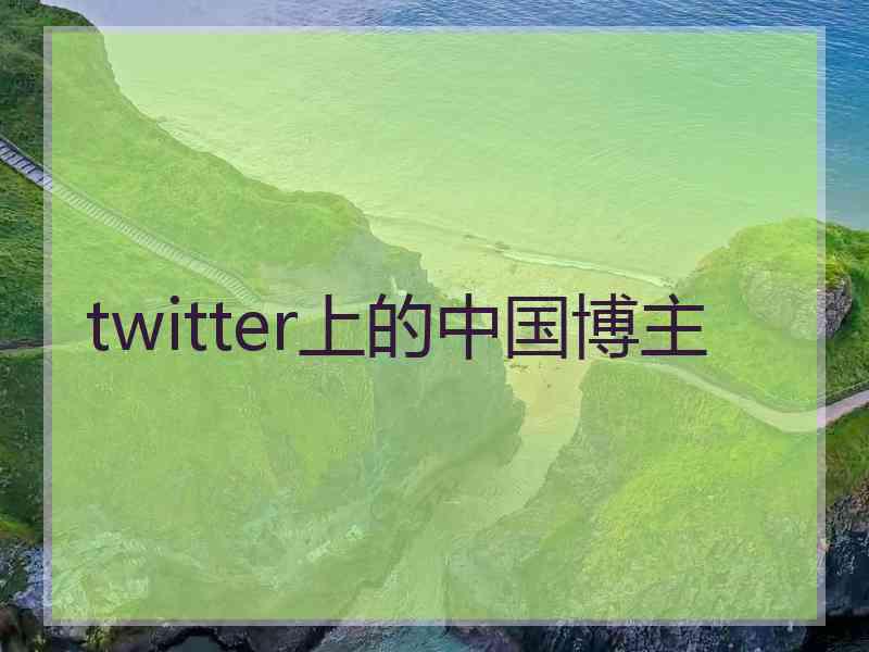 twitter上的中国博主