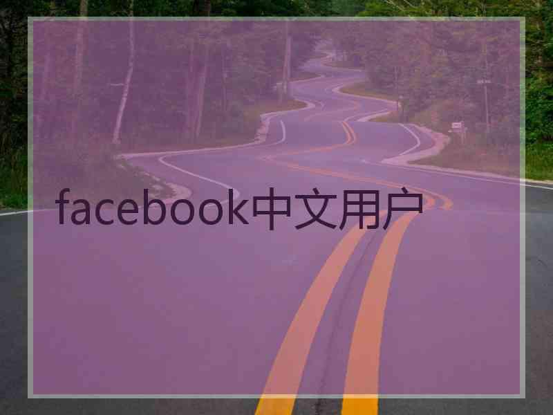 facebook中文用户