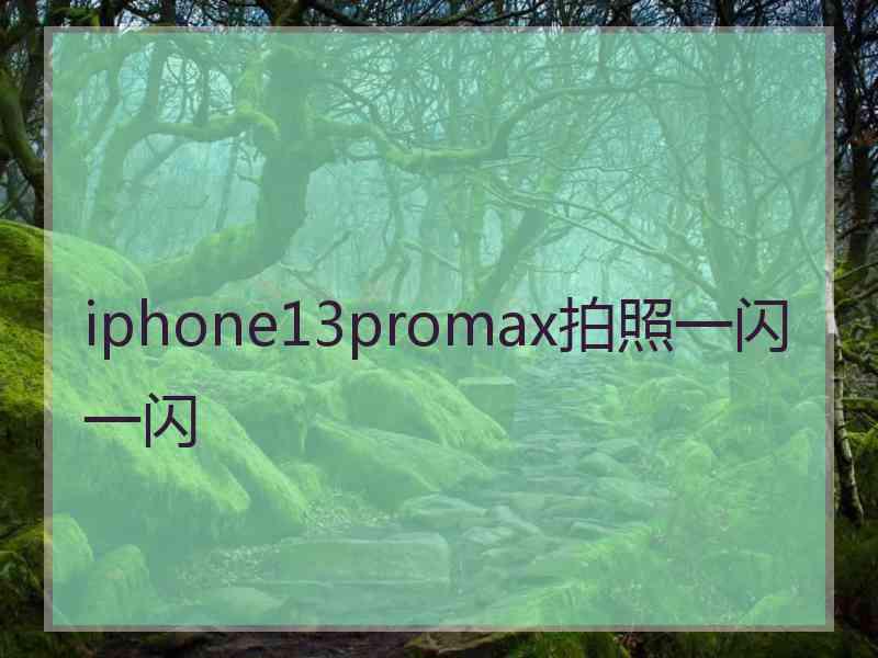 iphone13promax拍照一闪一闪