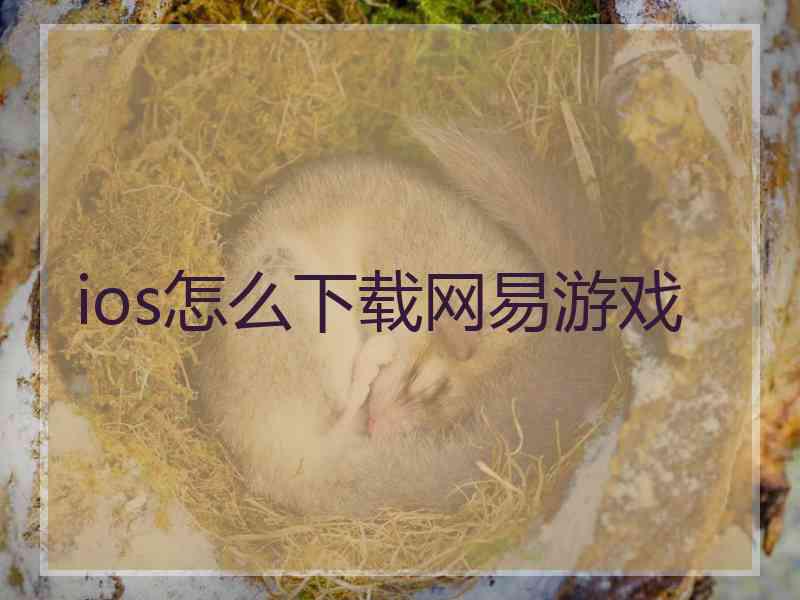 ios怎么下载网易游戏