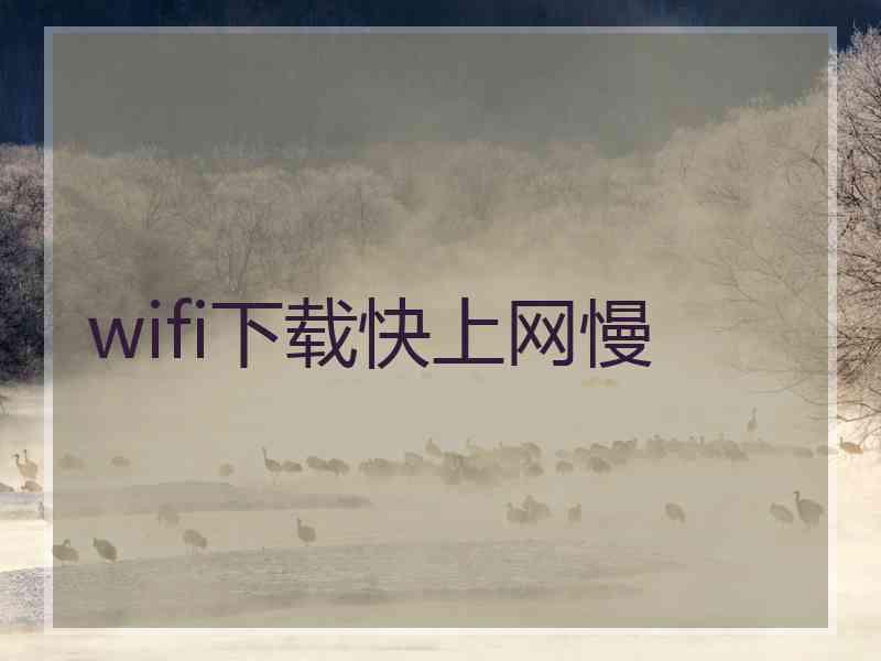 wifi下载快上网慢