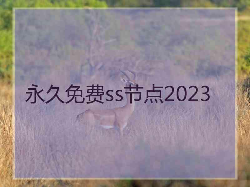 永久免费ss节点2023