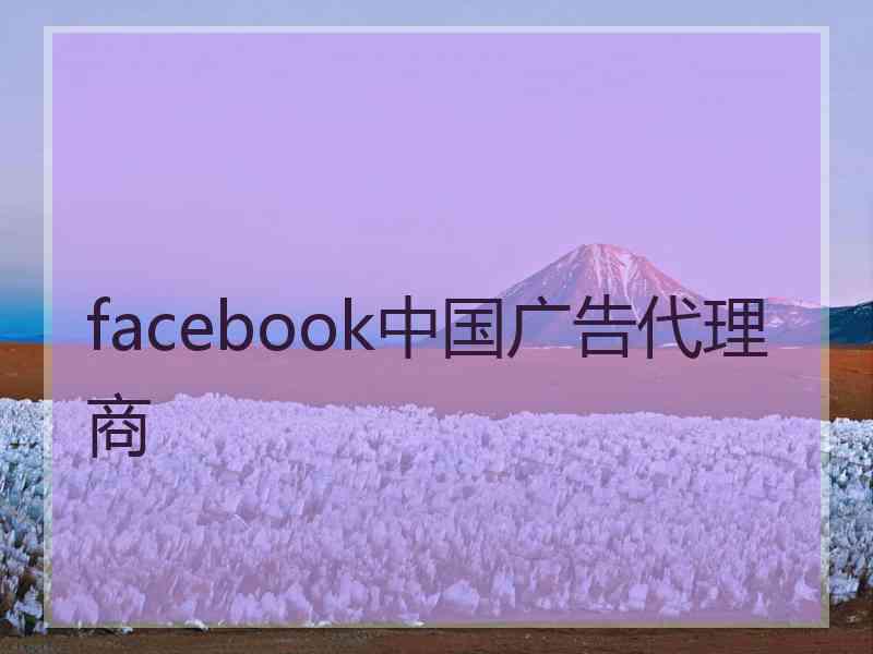 facebook中国广告代理商