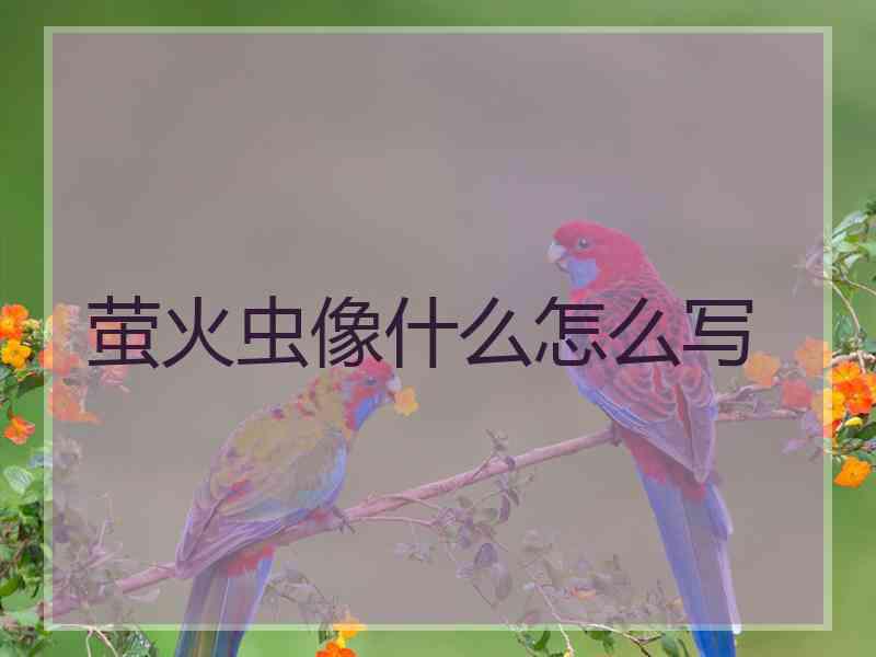 萤火虫像什么怎么写