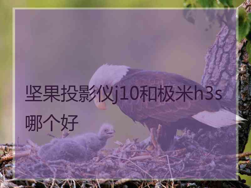 坚果投影仪j10和极米h3s哪个好