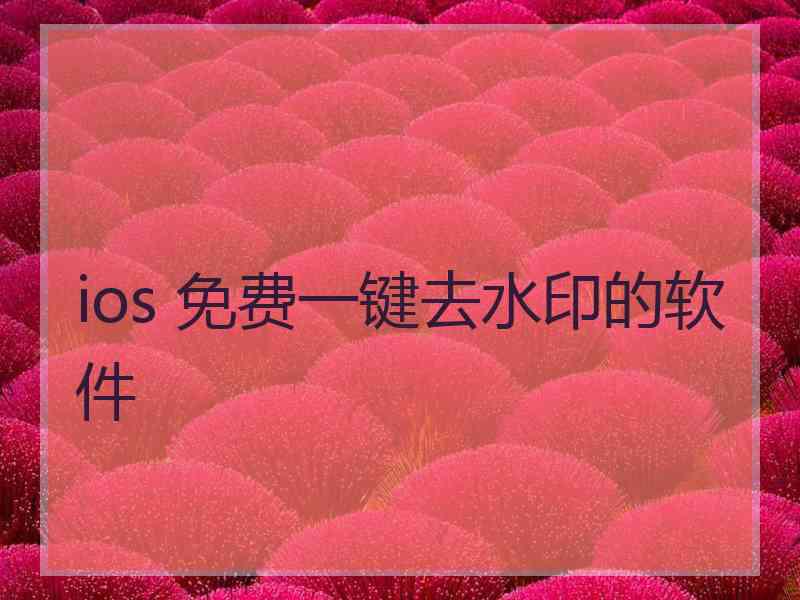 ios 免费一键去水印的软件