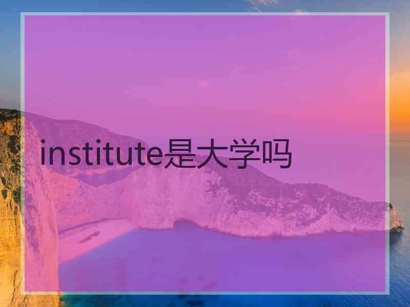 institute是大学吗