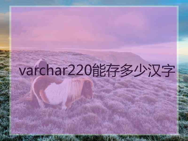 varchar220能存多少汉字