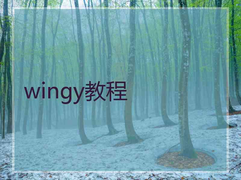 wingy教程