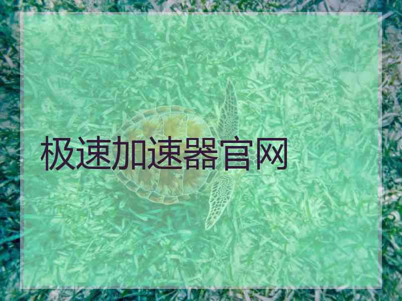 极速加速器官网