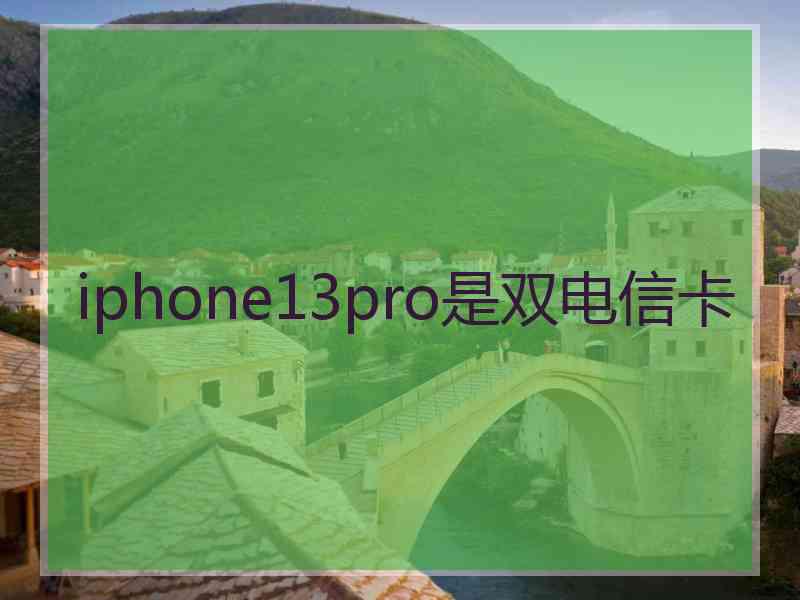 iphone13pro是双电信卡