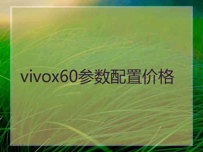 vivox60参数配置价格