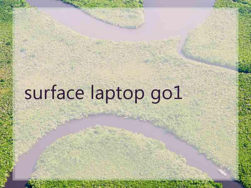 surface laptop go1