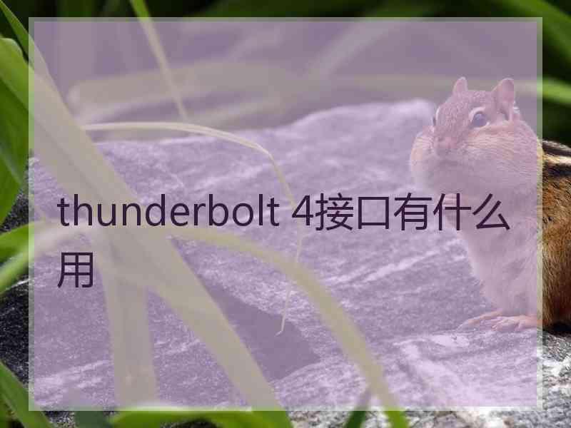 thunderbolt 4接口有什么用