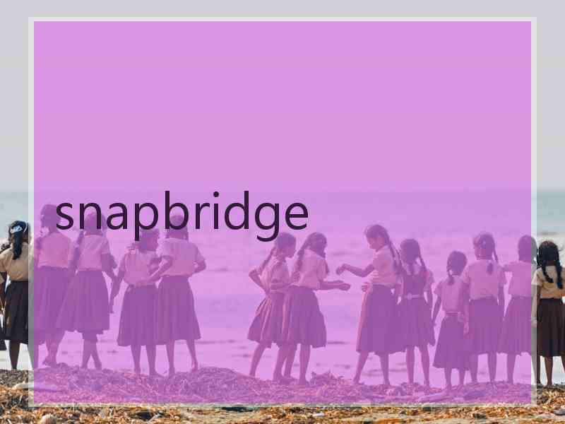 snapbridge