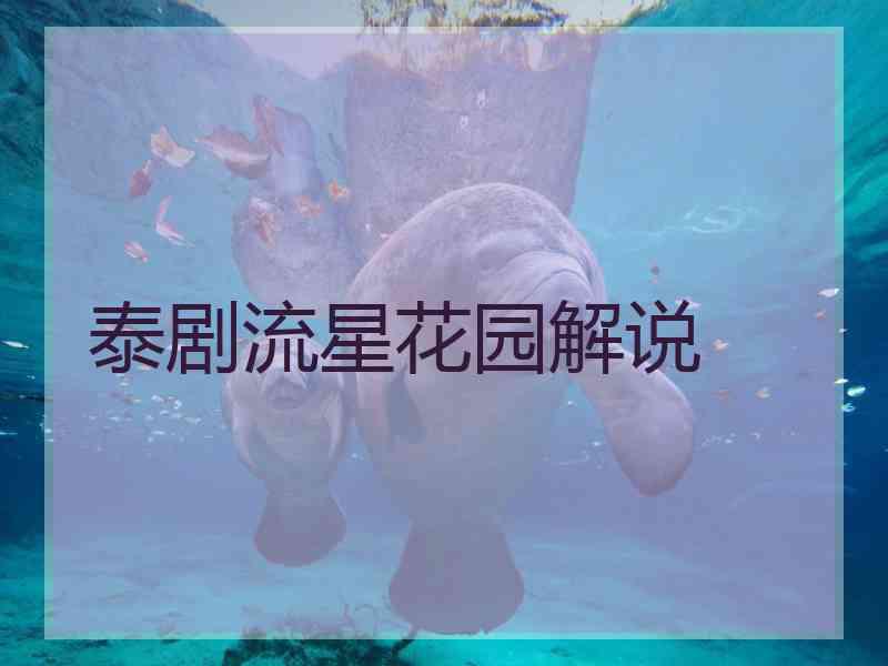 泰剧流星花园解说