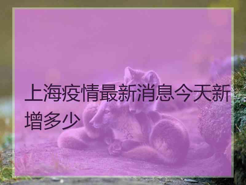 上海疫情最新消息今天新增多少