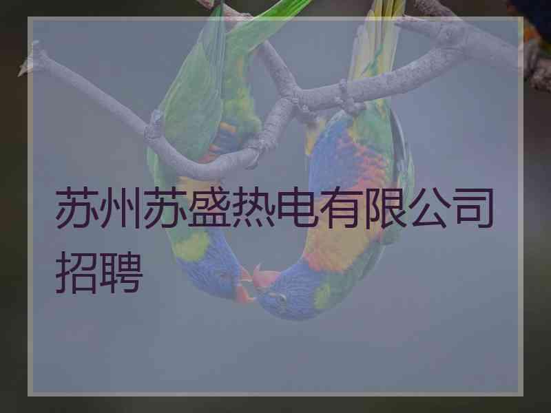 苏州苏盛热电有限公司招聘