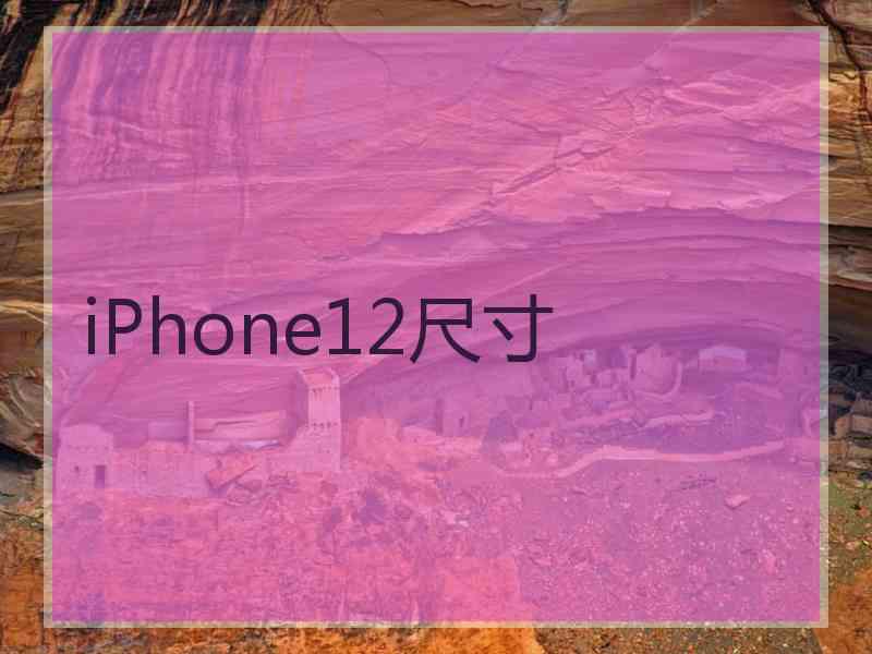 iPhone12尺寸