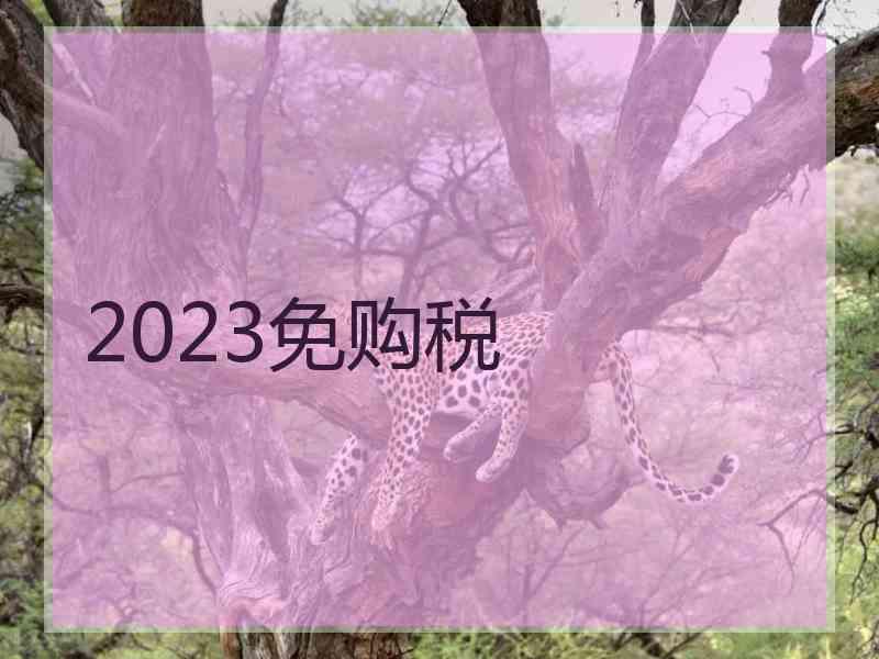 2023免购税