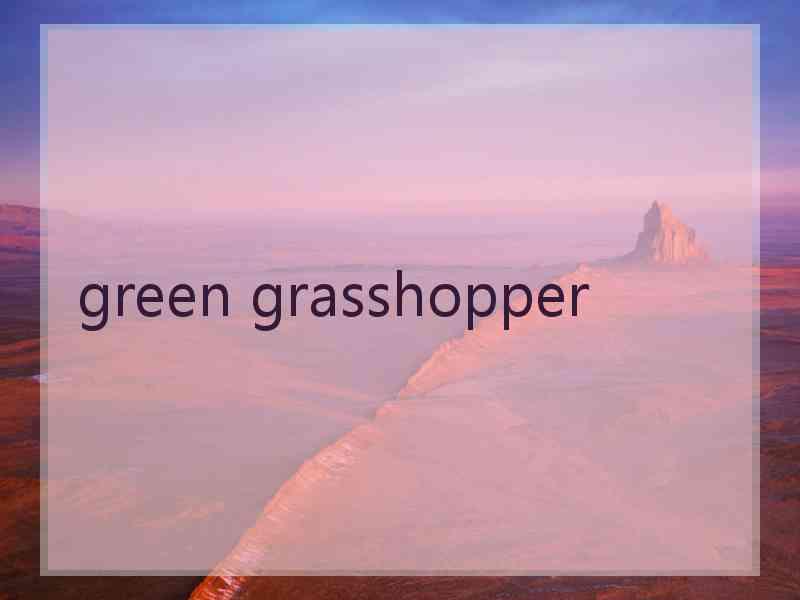 green grasshopper