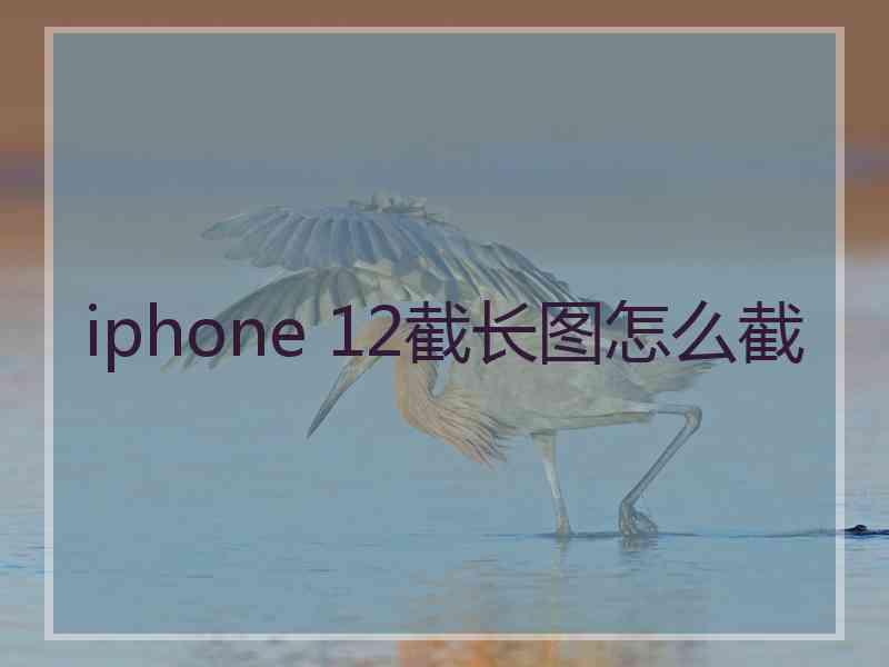 iphone 12截长图怎么截