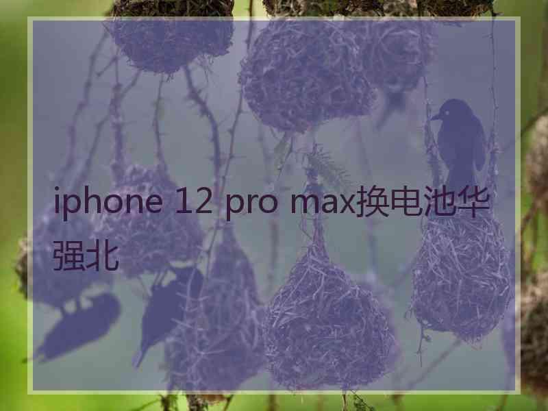 iphone 12 pro max换电池华强北