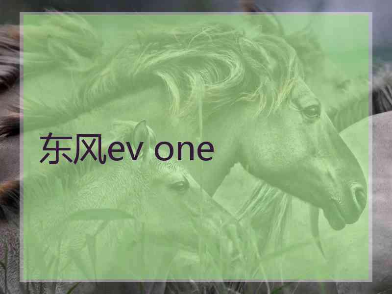 东风ev one