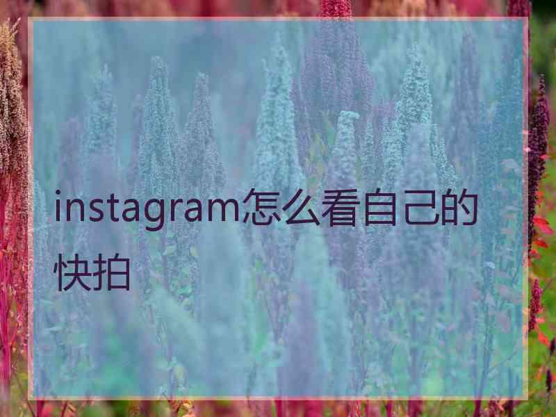 instagram怎么看自己的快拍