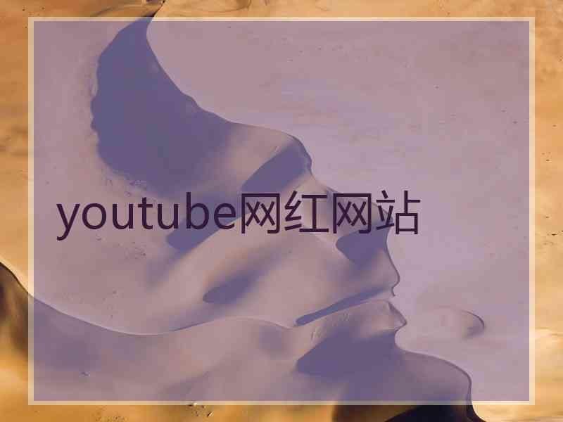 youtube网红网站