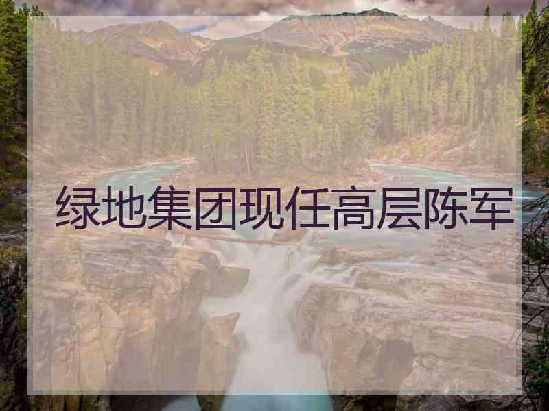 绿地集团现任高层陈军