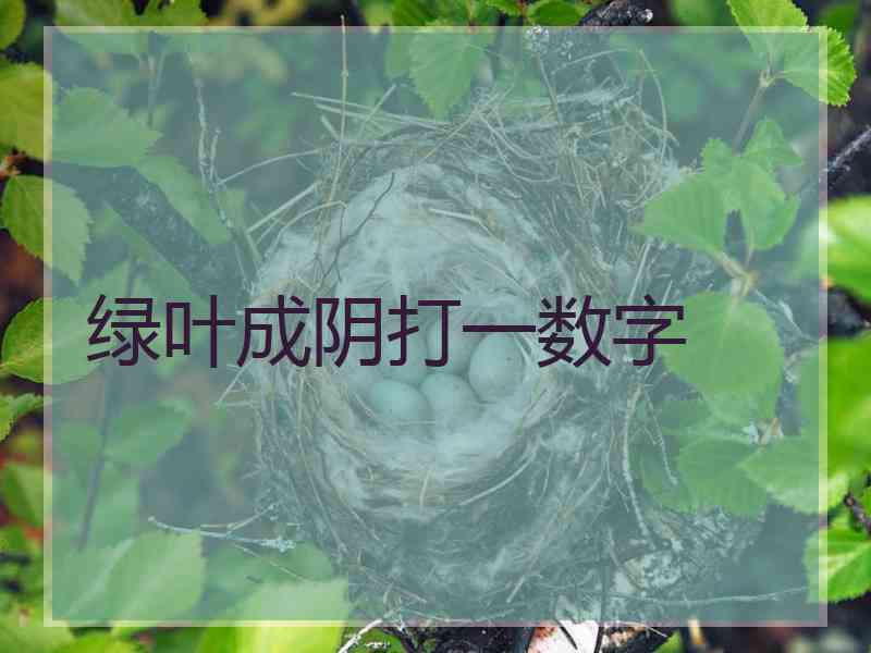 绿叶成阴打一数字