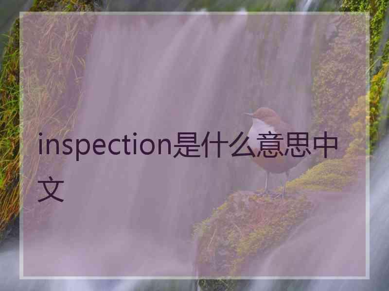 inspection是什么意思中文